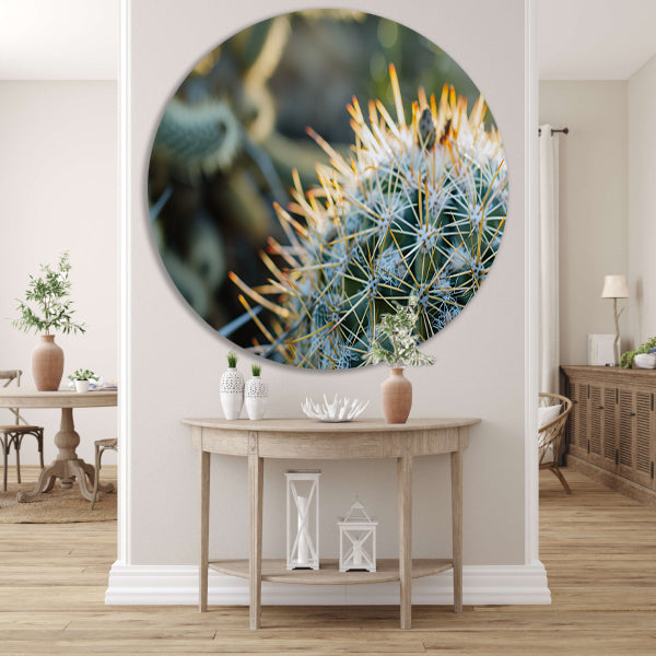 Close-up van een cactus met stekels aluminium muurcirkel