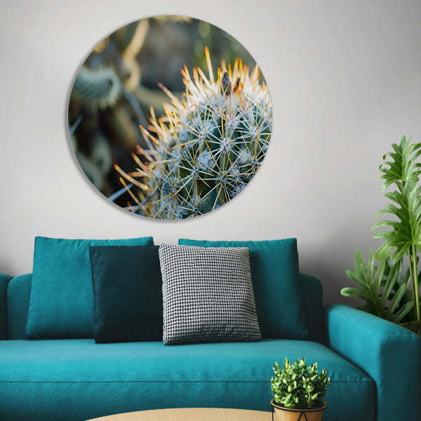 Close-up van een cactus met stekels aluminium muurcirkel