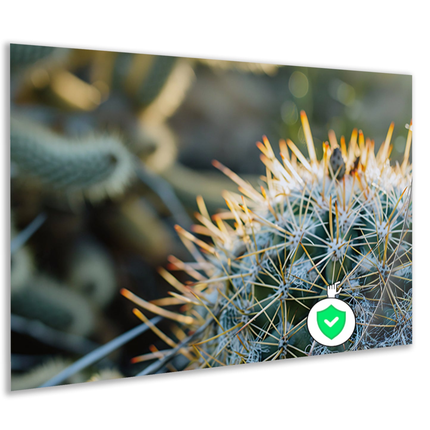 Close-up van een cactus met stekels poster