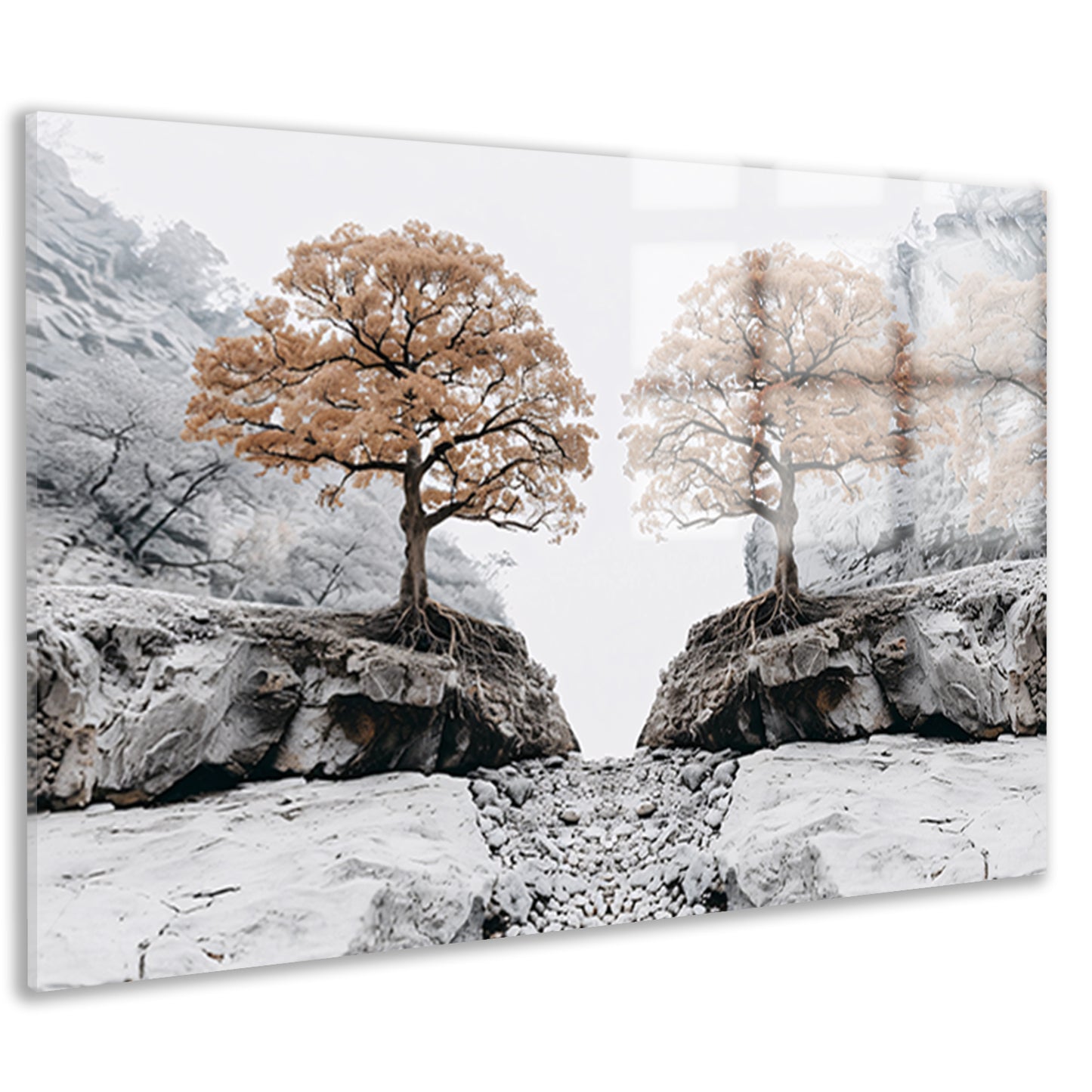 Symmetrische bomen boven rotsachtige kloof acrylglas