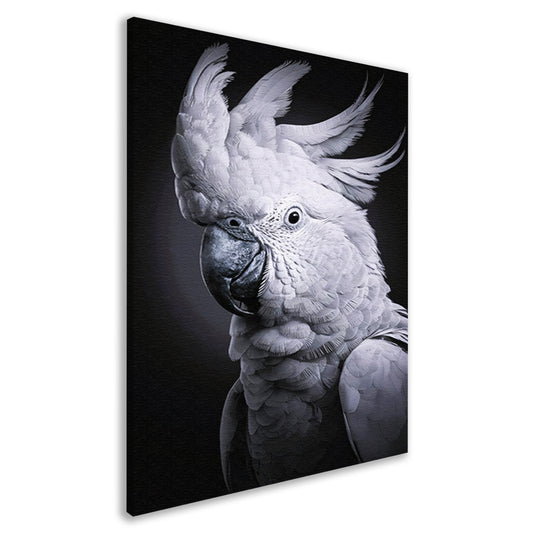 Monochrome Weergave van een Kaketoe canvas