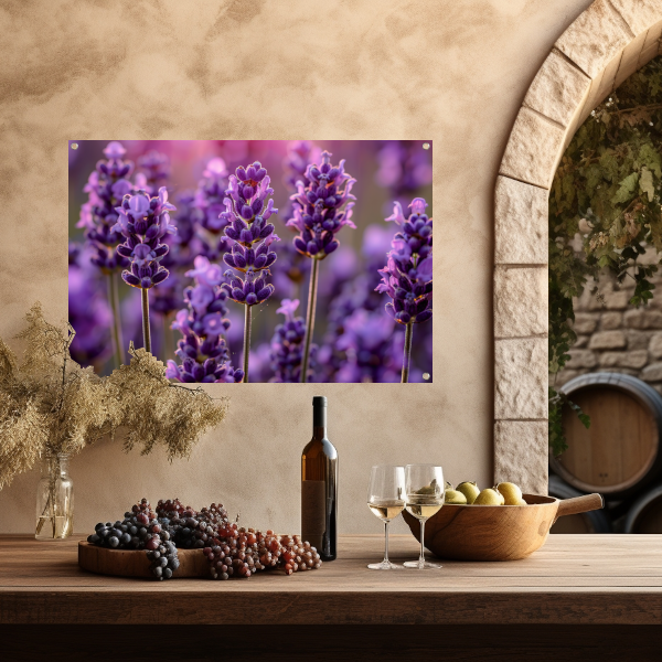 Close-up van lavendelbloemen in zachte zonneschijn tuinposter