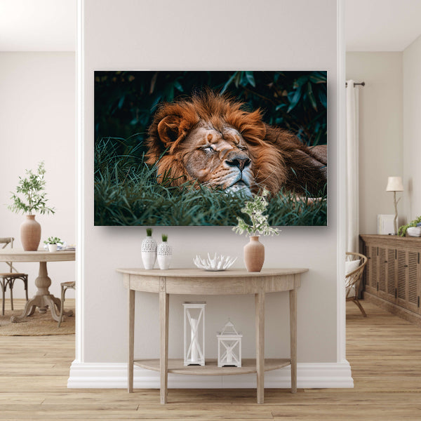 Leeuw Slaapt Kalm in Groen Gras poster
