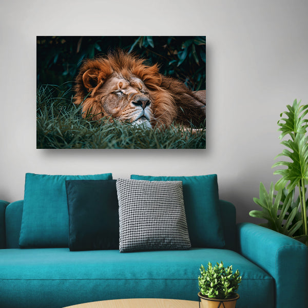 Leeuw Slaapt Kalm in Groen Gras poster