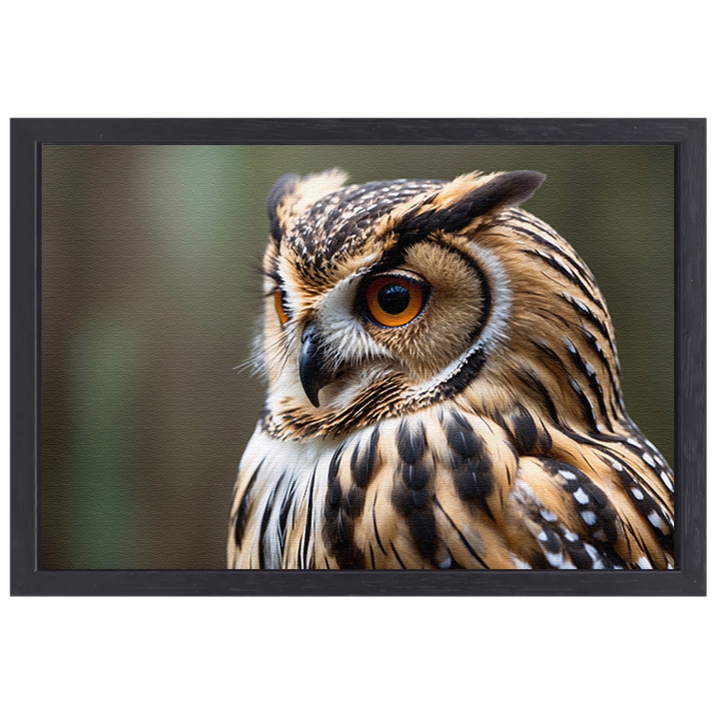 Prachtige close-up foto van een uil canvas met baklijst