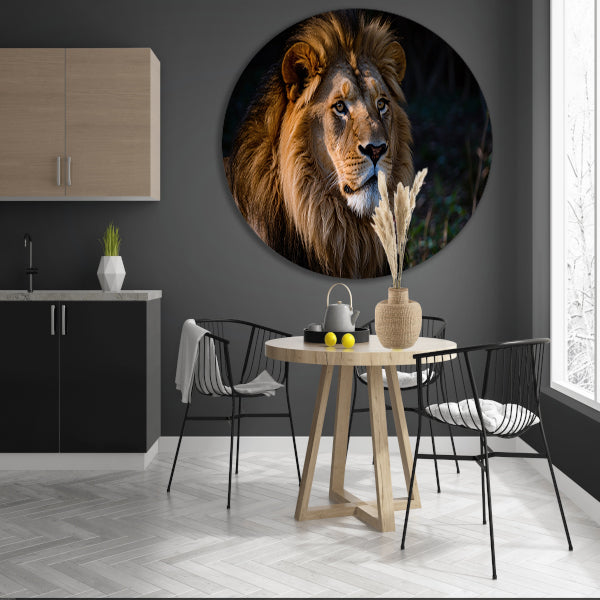 Indrukwekkende foto van leeuw in donker aluminium muurcirkel
