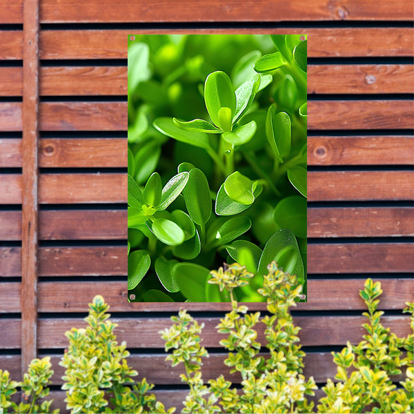 Close-up van Groene Planten met Dauwdruppels tuinposter