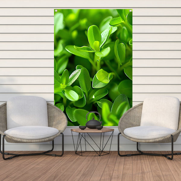Close-up van Groene Planten met Dauwdruppels tuinposter