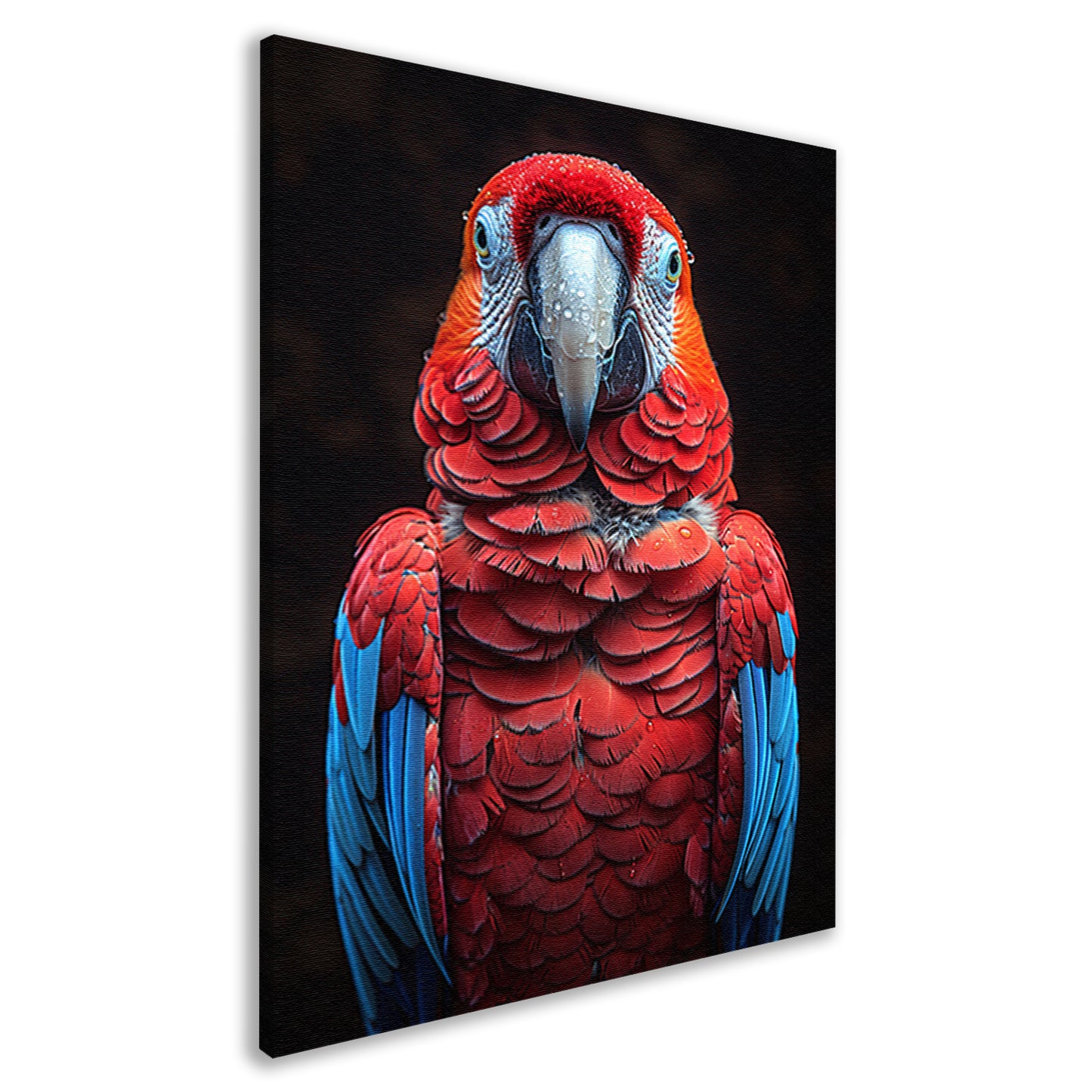 Portret van een ara met waterdruppels canvas