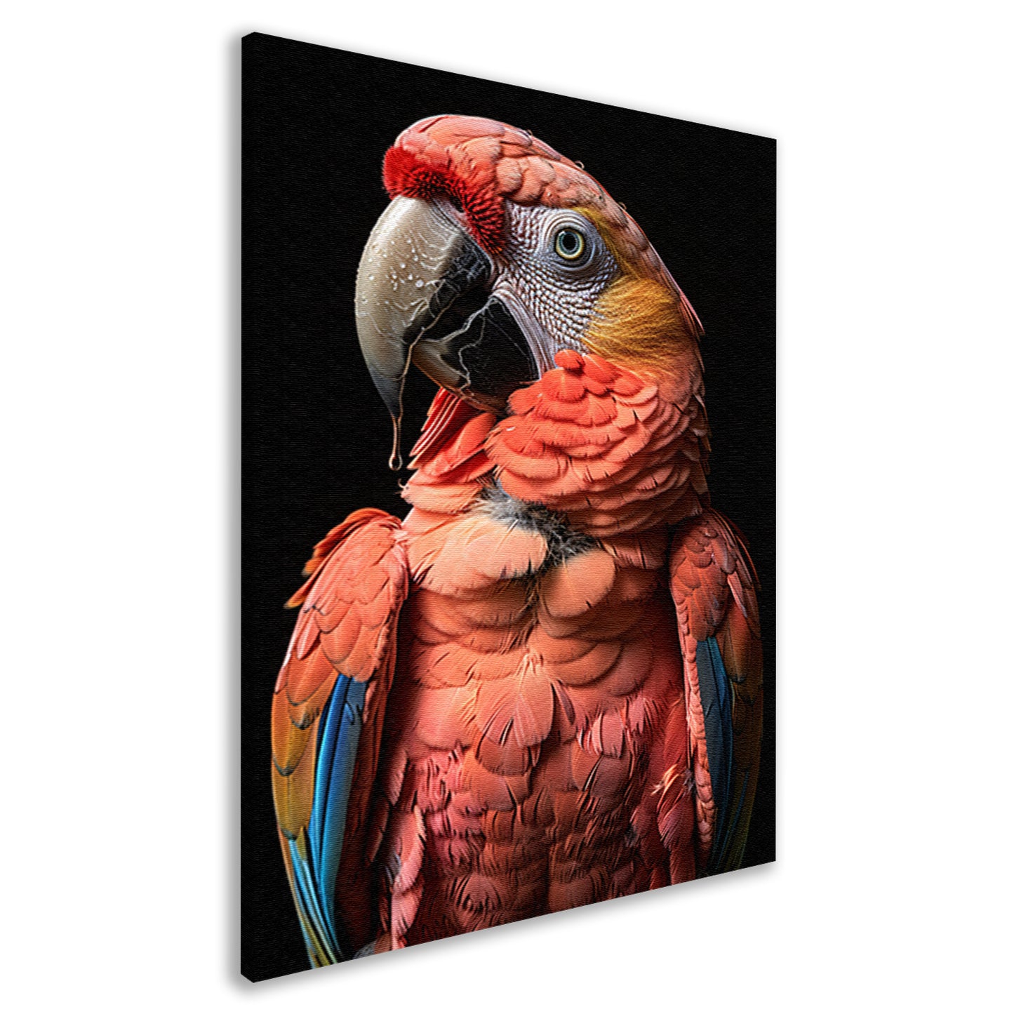 Portret van een Ara met waterdruppels canvas