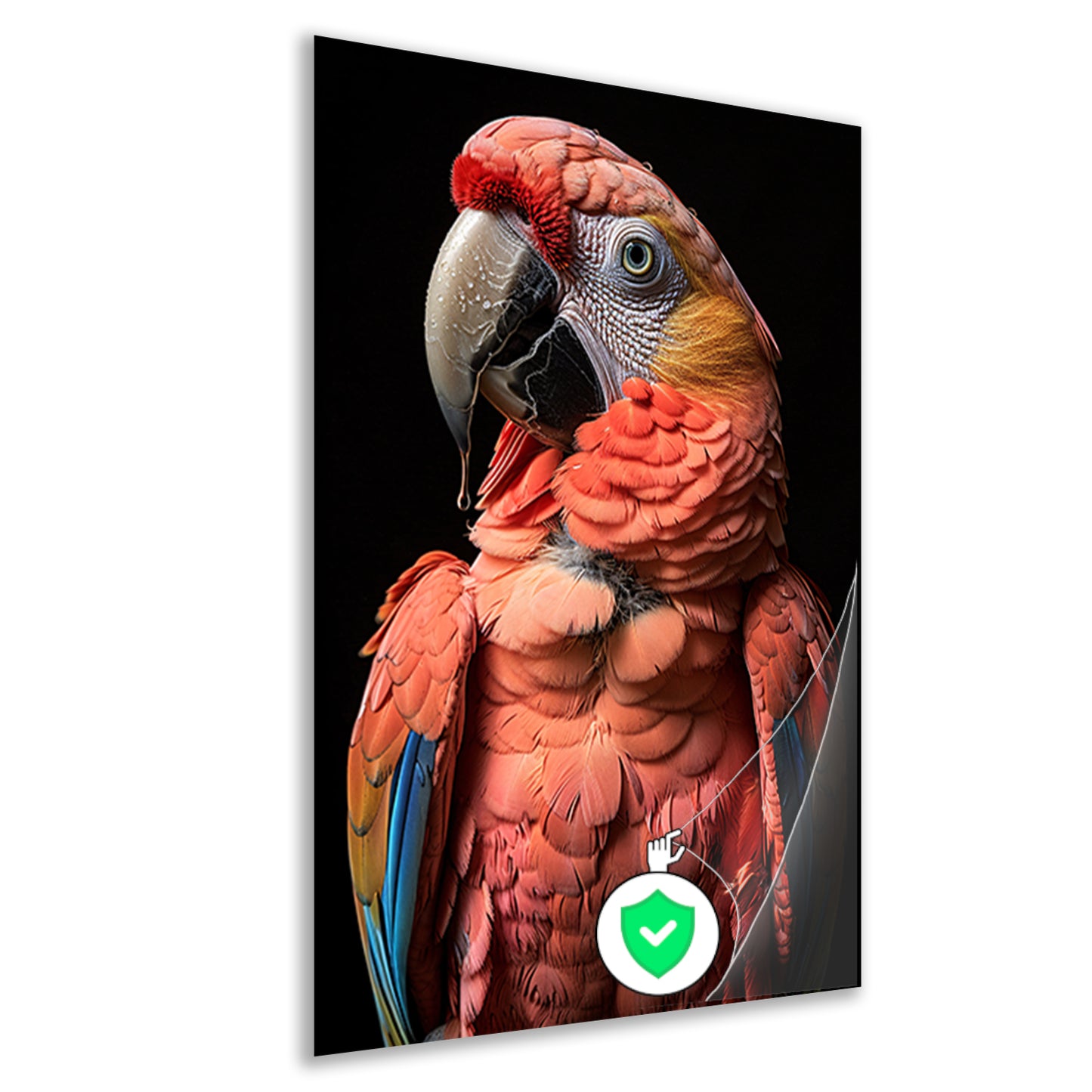 Portret van een Ara met waterdruppels poster