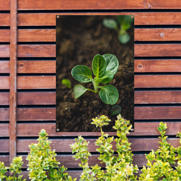 Jonge plant in donkere aarde tuinposter