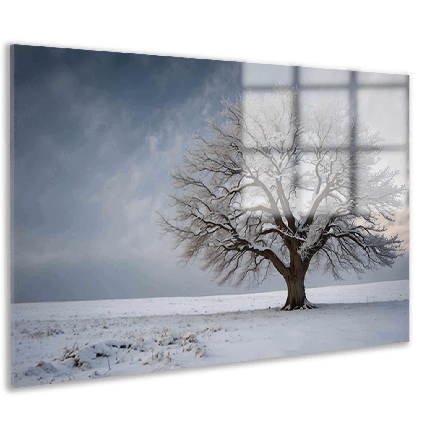 Een eenzame boom in de sneeuw acrylglas