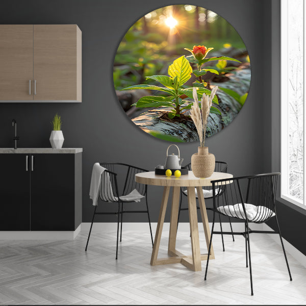 Plant groeit uit boomstam in zonlicht aluminium muurcirkel