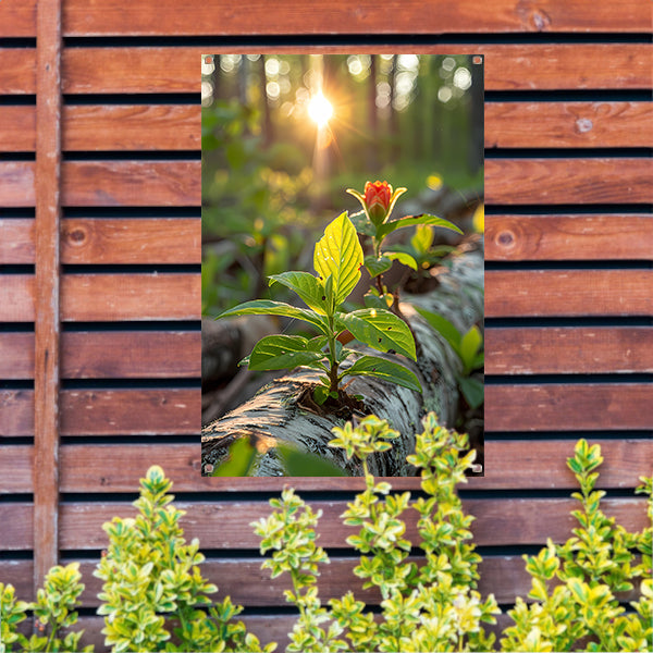 Plant groeit uit boomstam in zonlicht tuinposter