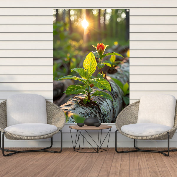 Plant groeit uit boomstam in zonlicht tuinposter