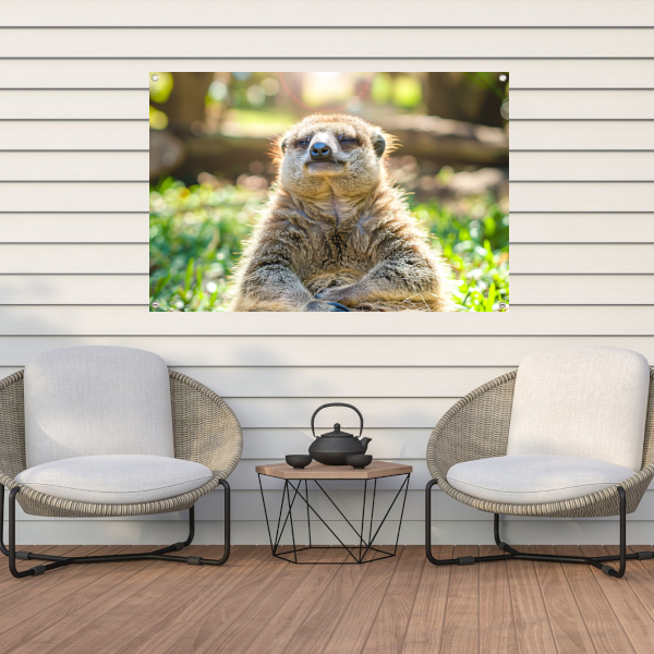 Luiaard genietend van zon in natuur tuinposter