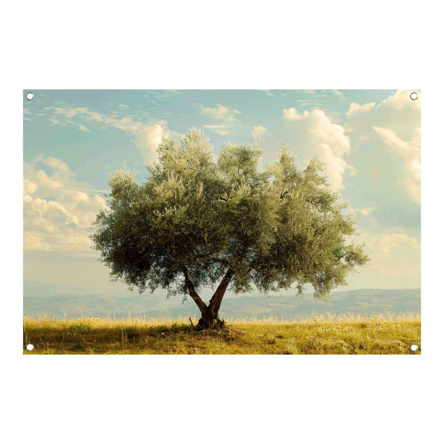 Eenzame boom in een veld tuinposter