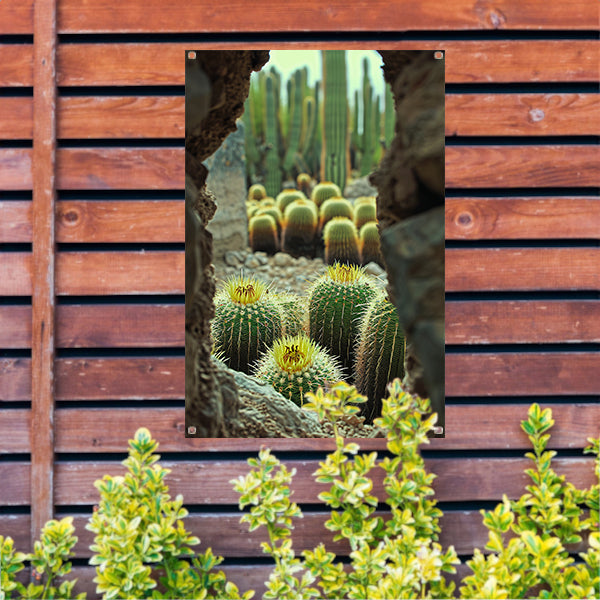 Cactussen in bloei achter rotsformatie tuinposter