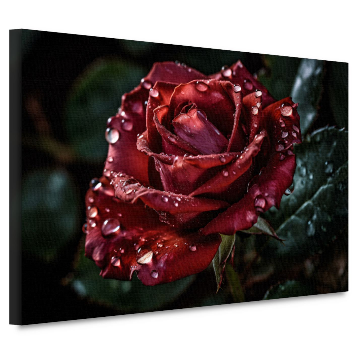 Rozen in ochtendgloren canvas