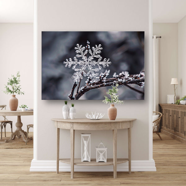 Macro opname van een enkele sneeuwvlok canvas