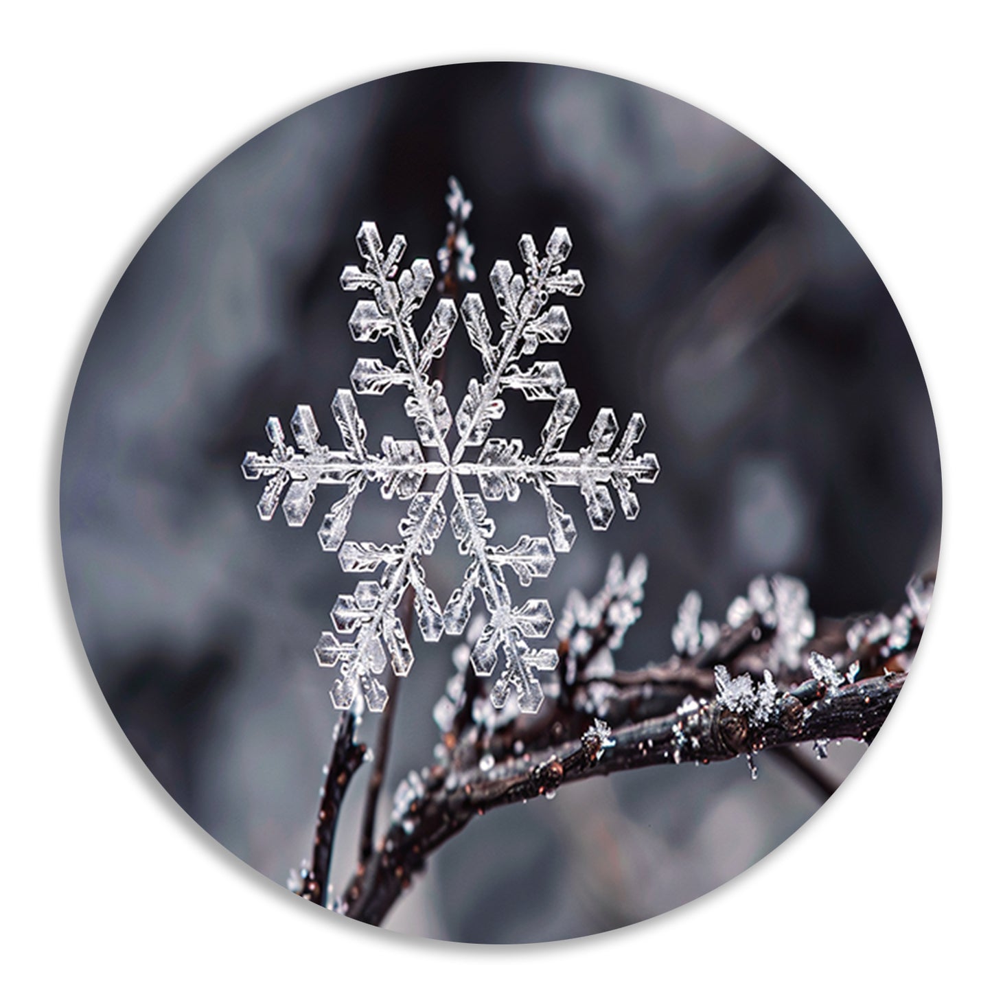 Macro opname van een enkele sneeuwvlok aluminium muurcirkel