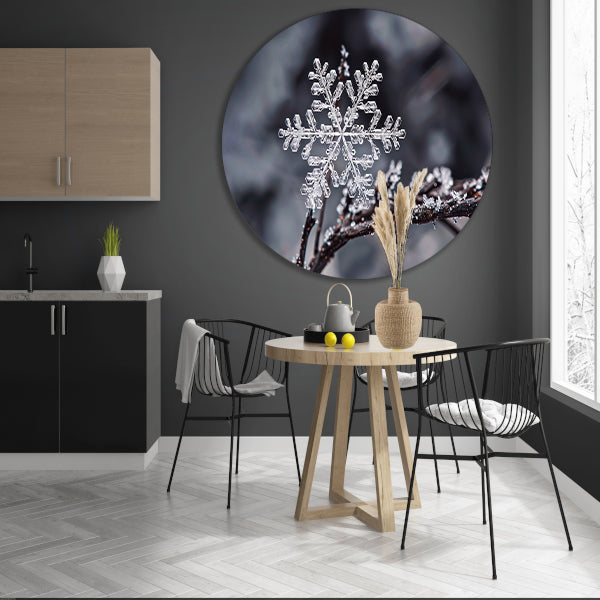 Macro opname van een enkele sneeuwvlok aluminium muurcirkel