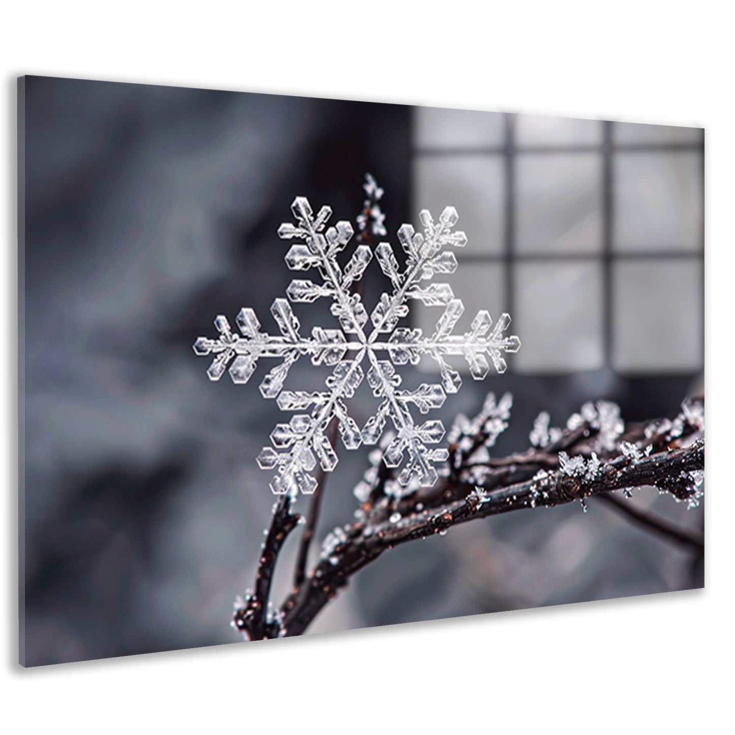 Macro opname van een enkele sneeuwvlok acrylglas