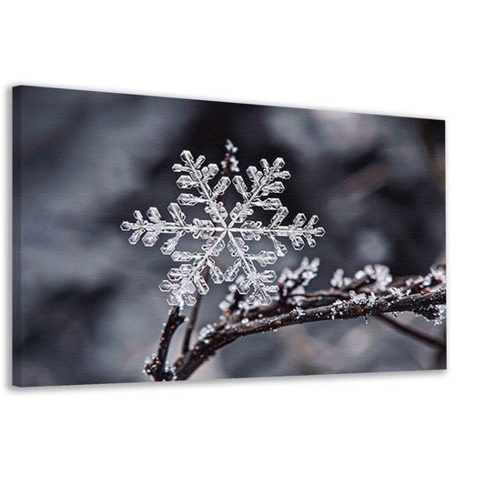Macro opname van een enkele sneeuwvlok   canvas