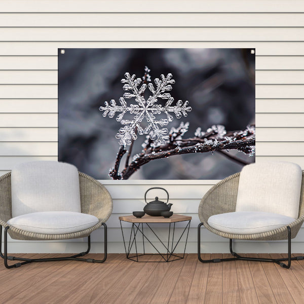 Macro opname van een enkele sneeuwvlok tuinposter