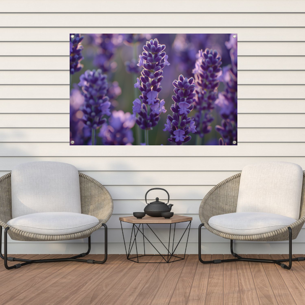 Betoverende lavendelbloemen badend in zacht avondlicht tuinposter