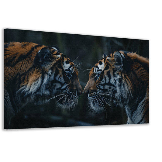 Twee tijgers in donker bos tegenover elkaar canvas