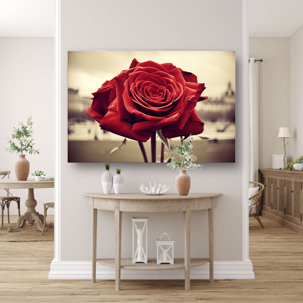 Gedetailleerde close-up van een rode roos acrylglas