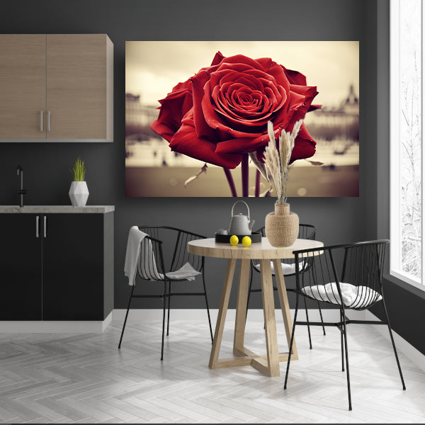 Gedetailleerde close-up van een rode roos acrylglas