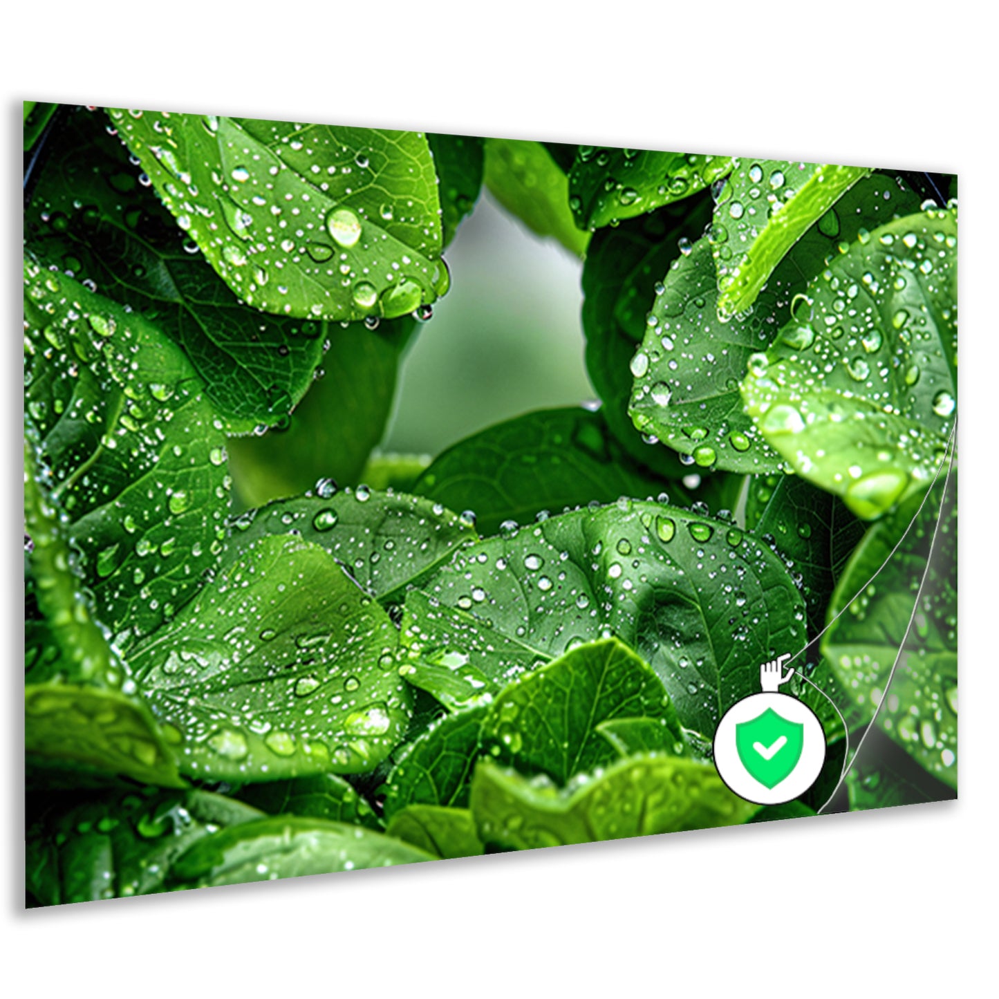 Close-up van groene bladeren met dauwdruppelsposter