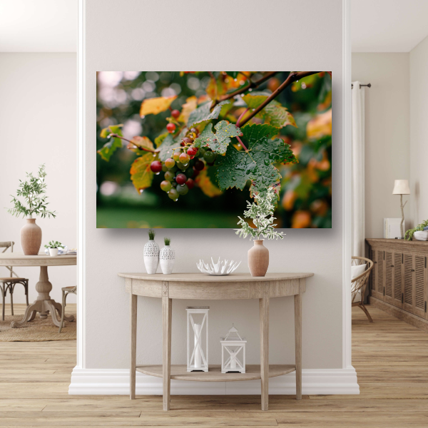 Druiventros met dauw in de herfstochtend canvas
