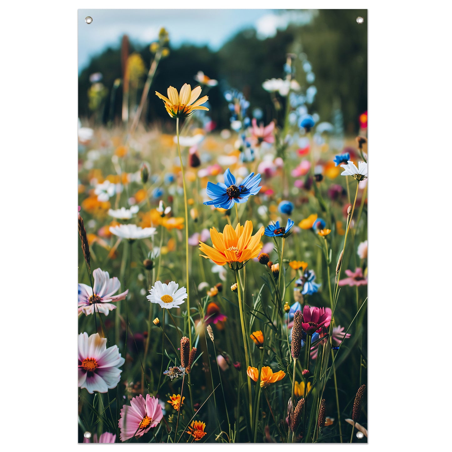 Kleurrijke Bloemenweide in de Zomerzon tuinposter