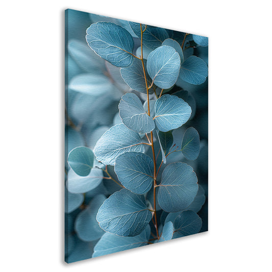 Minimalistische Weergave van Blauwe Eucalyptus Bladeren canvas