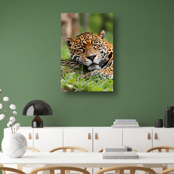 Slapende jaguar op gras schilderij canvas