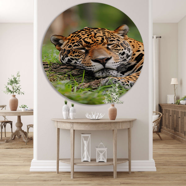Slapende jaguar op gras schilderij aluminium muurcirkel