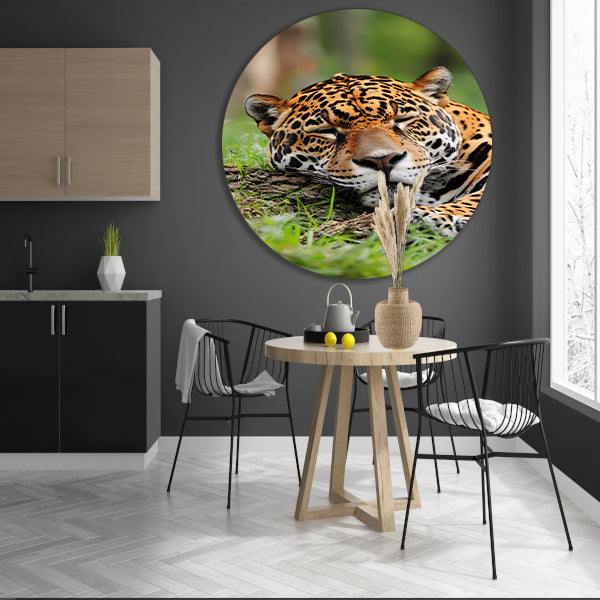 Slapende jaguar op gras schilderij aluminium muurcirkel