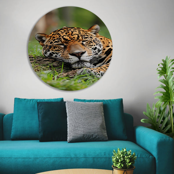 Slapende jaguar op gras schilderij aluminium muurcirkel
