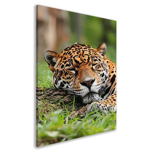 Slapende jaguar op gras schilderij canvas