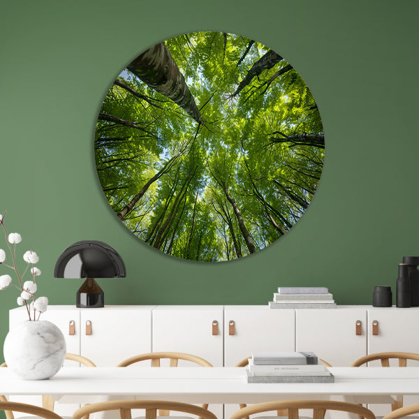 Bomen reiken naar de groene hemel aluminium muurcirkel