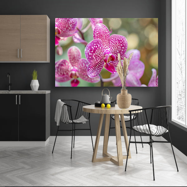 Close-up van een bloeiende roze orchidee poster