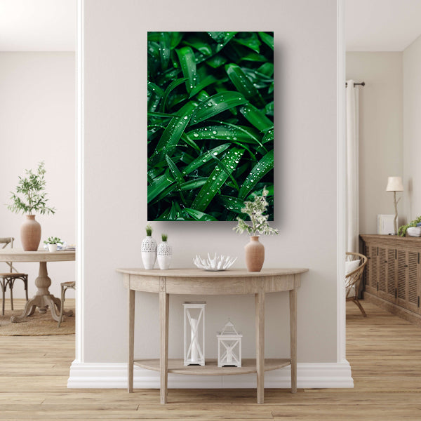 Close-up van dauwdruppels op groene bladeren acrylglas