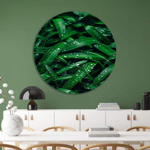 Close-up van dauwdruppels op groene bladeren aluminium muurcirkel