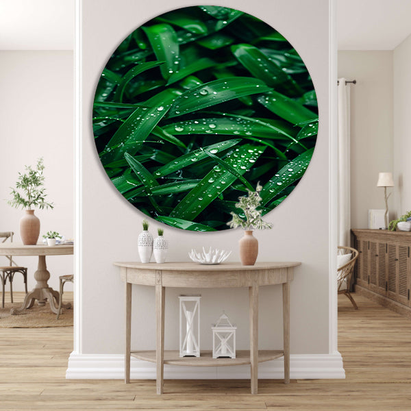 Close-up van dauwdruppels op groene bladeren aluminium muurcirkel