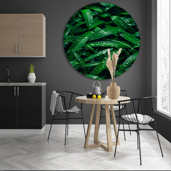 Close-up van dauwdruppels op groene bladeren aluminium muurcirkel