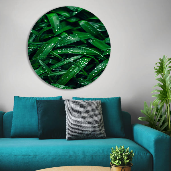 Close-up van dauwdruppels op groene bladeren aluminium muurcirkel